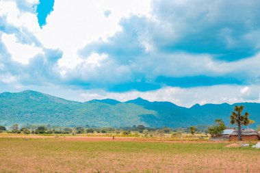 Güneşli bir günde dağların güzel manzarası