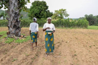 Opialu, Benue State, Nijerya - 6 Mart 2021: Çalışkan Afrikalı Kadın