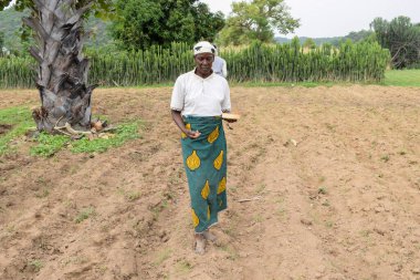 Opialu, Benue State, Nijerya - 6 Mart 2021: Çok Çalışkan Afrikalı Kadın Toplumunda Etkinlik Gösteriyor