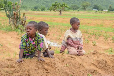 Lagos, Nijerya - 02 Ağustos 2021: Afrikalı Çocukların Portresi
