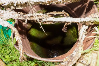 Ağaç dallarıyla kaplanmış su 