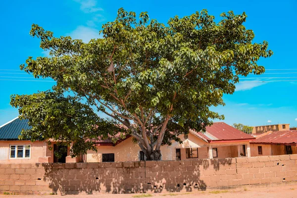 이스트 나이지리아 2021 아프리카 마을의 아름다운 — 스톡 사진