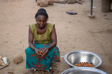 Opialu, Benue State - 6 Mart 2021: Geleneksel Giyinen Afrikalı Kadın Palm Kernel Tohumlarını İşleme İçin Sıraladı