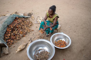 Opialu, Benue State - 6 Mart 2021: Geleneksel Giyinen Afrikalı Kadın Palm Kernel Tohumlarını İşleme İçin Sıraladı