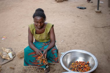 Opialu, Benue State - 6 Mart 2021: Geleneksel Giyinen Afrikalı Kadın Palm Kernel Tohumlarını İşleme İçin Sıraladı