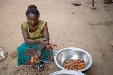 Opialu, Benue State - 6 Mart 2021: Geleneksel Giyinen Afrikalı Kadın Palm Kernel Tohumlarını İşleme İçin Sıraladı