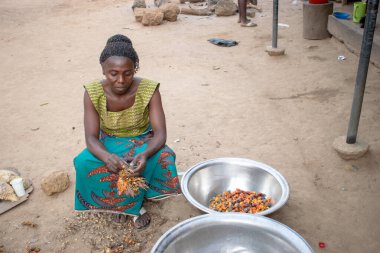 Opialu, Benue State - 6 Mart 2021: Geleneksel Giyinen Afrikalı Kadın Palm Kernel Tohumlarını İşleme İçin Sıraladı