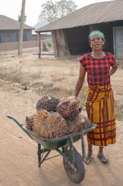 Opialu, Benue State, Nijerya - 6 Mart 2021: Çok Çalışkan Afrikalı Kadın Toplumunda Etkinlik Gösteriyor