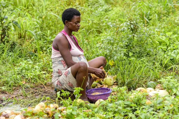 Talata Plateau State June 2023 Portrait Pregnant African Woman Sorting — Stock Photo, Image
