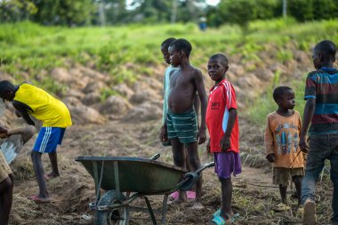 Abuja, Nijerya - Haziran 2023: El arabasıyla tarlada çalışan, toprak kazan Afrikalı çocukların portresi 
