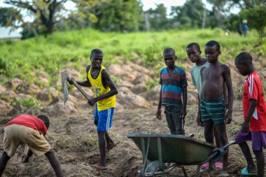 Abuja, Nijerya - Haziran 2023: El arabasıyla tarlada çalışan, toprak kazan Afrikalı çocukların portresi 