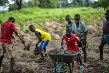 Abuja, Nijerya - Haziran 2023: El arabasıyla tarlada çalışan, toprak kazan Afrikalı çocukların portresi 