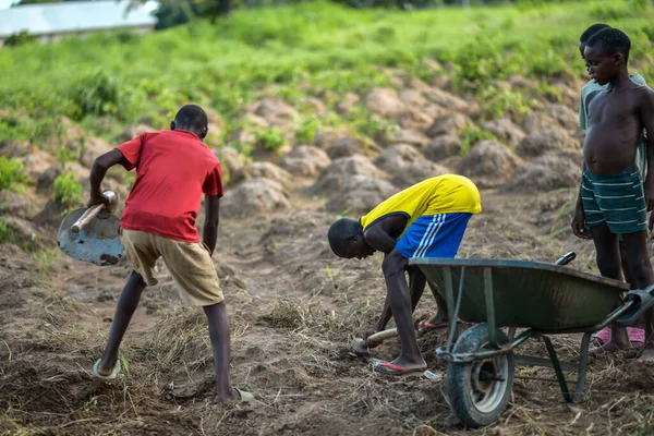 Abuja Nigeria Junio 2023 Retrato Niños Africanos Que Trabajan Campo — Foto de Stock