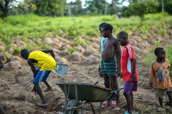 Abuja Nigeria Juni 2023 Porträtt Afrikanska Barn Som Arbetar Fältet — Stockfoto