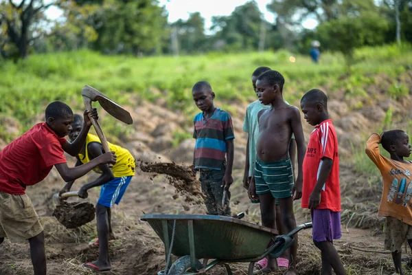Абуджа Нигерия Июнь 2023 Года Портрет Африканских Детей Работающих Поле — стоковое фото