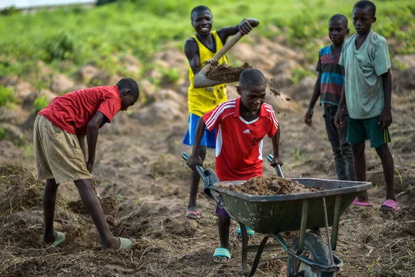 Abuja, Nijerya - Haziran 2023: El arabasıyla tarlada çalışan, toprak kazan Afrikalı çocukların portresi 