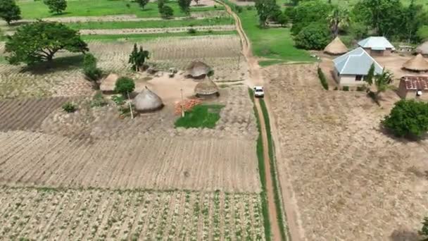 Αεροπλάνο Άποψη Του Αυτοκινήτου Ιππασία Αγροτικό Δρόμο Κοντά Katsina Ala — Αρχείο Βίντεο