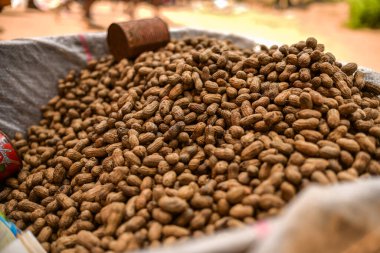 Çuvaldaki kuru fıstık manzarasını kapat.