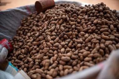 Çuvaldaki kuru fıstık manzarasını kapat.