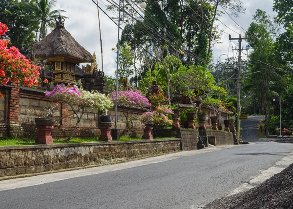 バリ島村の道路 ウブド インドネシア — ストック写真