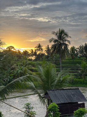 Ubud 'da Campuhan Sırtı' nın tepesinde güneş batıyor..
