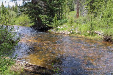 Dağlardaki güzel nehir manzarası