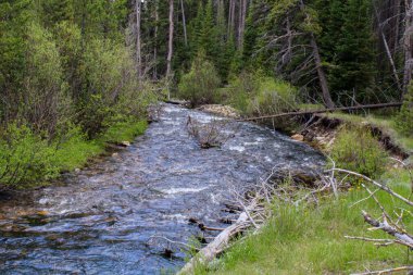Nehrin akışından dikey bir çekim. Arka planda bir ağaç var.