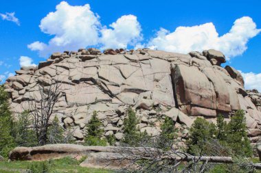 Utah Eyalet Parkı 'nın güzel manzarası