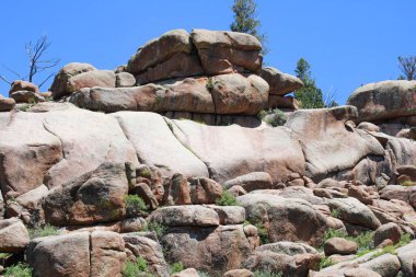 Yazın dağlarda büyük kayalar ve bir ağaç..