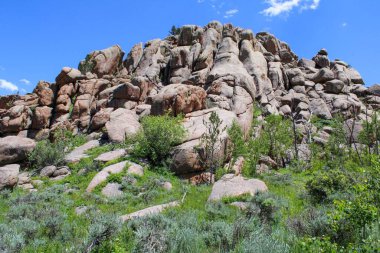 Arizona 'daki Büyük Kanyon Ulusal Ormanı' ndaki kayalar.