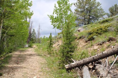 Doğanın güzel manzarası