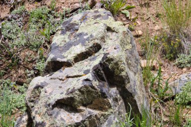 Doğanın güzel manzarası