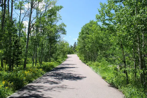 stock image trail along the road in the woods