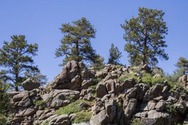Kaliforniya 'daki Joshua Tree Ulusal Parkı' ndaki kaya oluşumu.