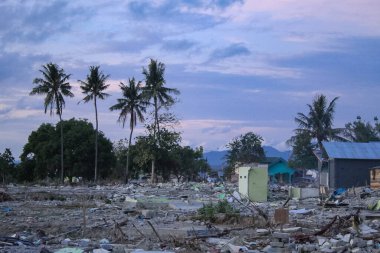 Endonezya 'daki Palu depremi yerle bir oldu. Geriye sadece yüksek ağaçlar kaldı.