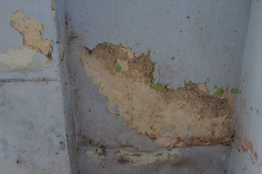 Altındaki Alçı ve Hasar Duvardaki Soyulmuş Boya Açıklamaları