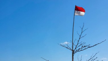 Endonezya kırmızı ve beyaz bayrağı bir ağaç dalında dalgalanıyor. Gökyüzü açık ve mavi, ve sahnedeki tek nesne bayrak.