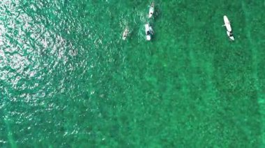 Sersemletici yeşil bir okyanusta sörf yapan birden fazla sörfçünün hava görüntüsü..