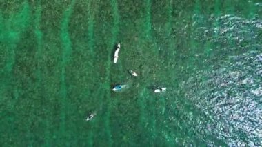 Dalgayı bekleyen canlı yeşil bir okyanusta ellerini çırpan sörfçülerin havadan görüntüsü.