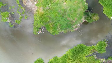 Bir balıkçının insansız hava aracı fotoğrafı sığ bir göle ağ atıyor. Etrafı kahverengimsi ve karanlık sularla çevrili yeşil bitkilerle çevrili..