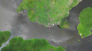 Bir balıkçının insansız hava aracı fotoğrafı sığ bir göle ağ atıyor. Etrafı kahverengimsi ve karanlık sularla çevrili yeşil bitkilerle çevrili..