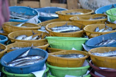 Endonezya 'daki geleneksel bir pazarda satılmak üzere renkli plastik sepetlere yerleştirilmiş taze tutulan balıklar yerel deniz ürünleri ticaretini sergiliyor..