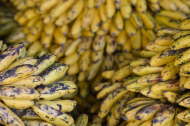 Bir grup muz sarıdır ve kahverengi benekleri vardır. Birbirlerinin üstüne yığılmışlar.