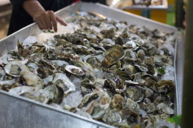 A chef's hand reaches for fresh, raw oysters chilled on a bed of ice at a vibrant seafood market or restaurant buffet.