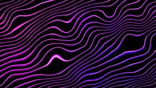 Abstract Wavy Lines Background Looped Animation Bright Purple Colors Blue — Stock Video