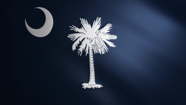 南卡罗来纳州旗的面料质感在风中飘扬 飘扬的旗帜在一个完美的循环中平稳地移动 深蓝色 美国州 Fps动画 — 图库视频影像