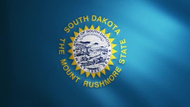Bandeira Dakota Sul Com Textura Tecido Que Move Vento Movimento — Vídeo de Stock