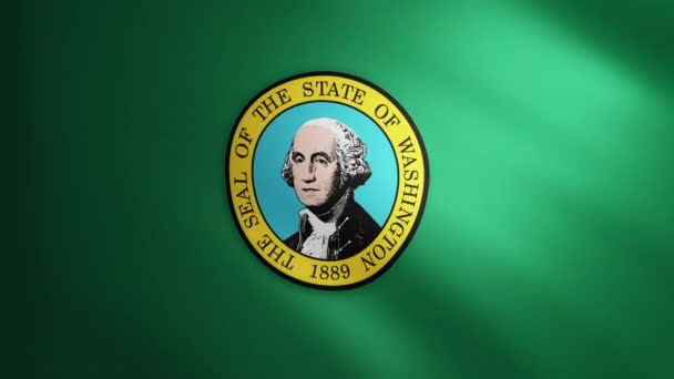 Bandera Washington Con Textura Tela Que Mueve Viento Movimiento Suave — Vídeo de stock
