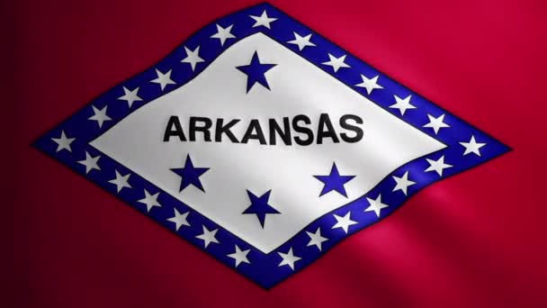 阿肯色州的国旗 面料质地在风中飘扬 飘扬的旗帜在一个完美的循环中平稳地移动 美国州 Fps动画 — 图库视频影像