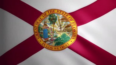 Rüzgarda hareket eden kumaş desenli Florida bayrağı. Dalgalanan bayrağın kusursuz bir döngü içinde düzgün hareketi. Beyaz, kırmızı, özgürlük, ülke, ulus, ABD devleti. 4k 60 fps animasyon.